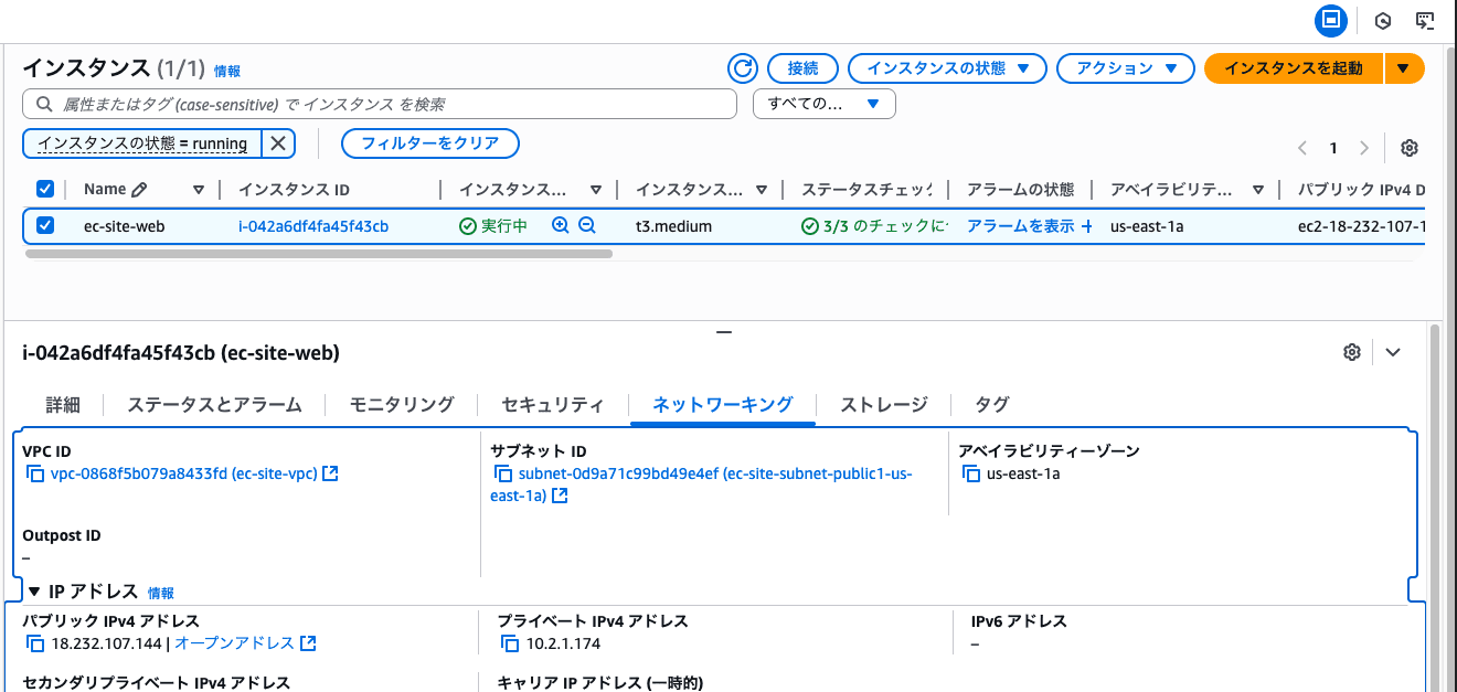 ec2-public-ip
